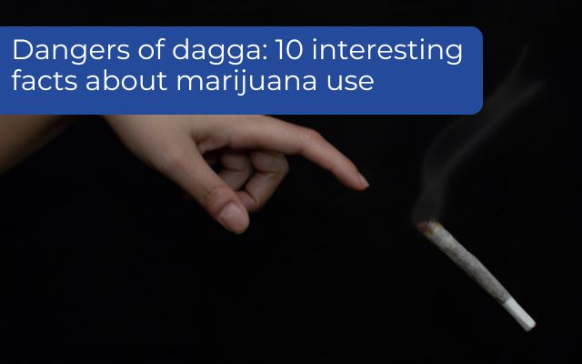 10 interesting facts about dagga use, abuse and addiction 